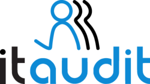 logo IT AUDIT